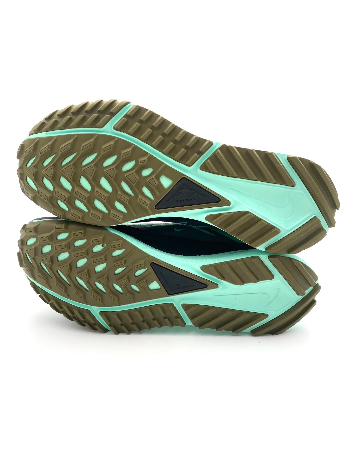 Nike Pegasus Trail 4 Gore-Tex