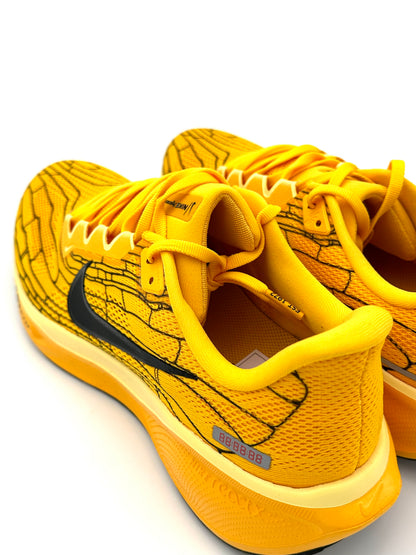 Nike Pegasus 41 LV8