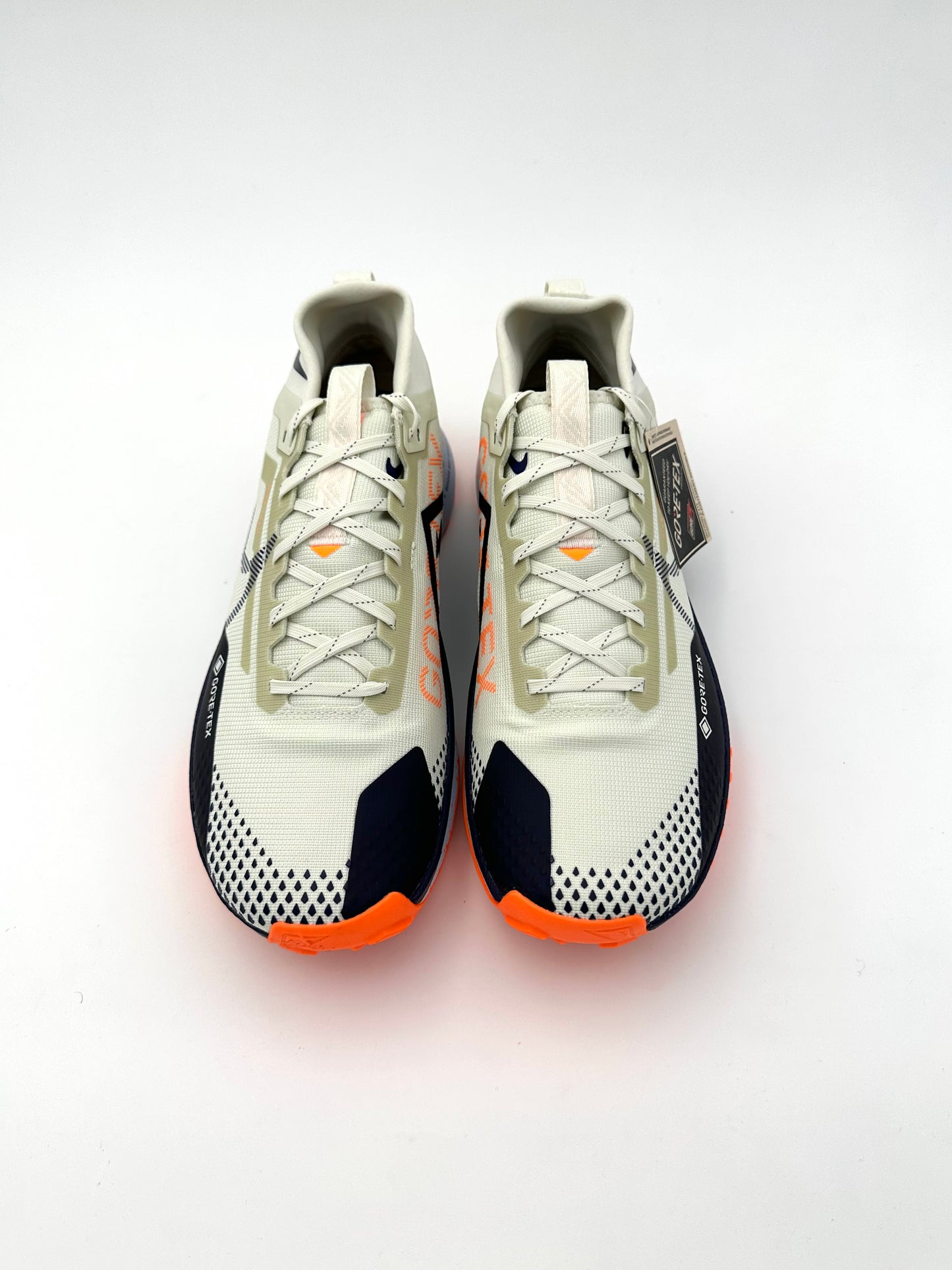 Nike Pegasus Trail 4 Gore-Tex