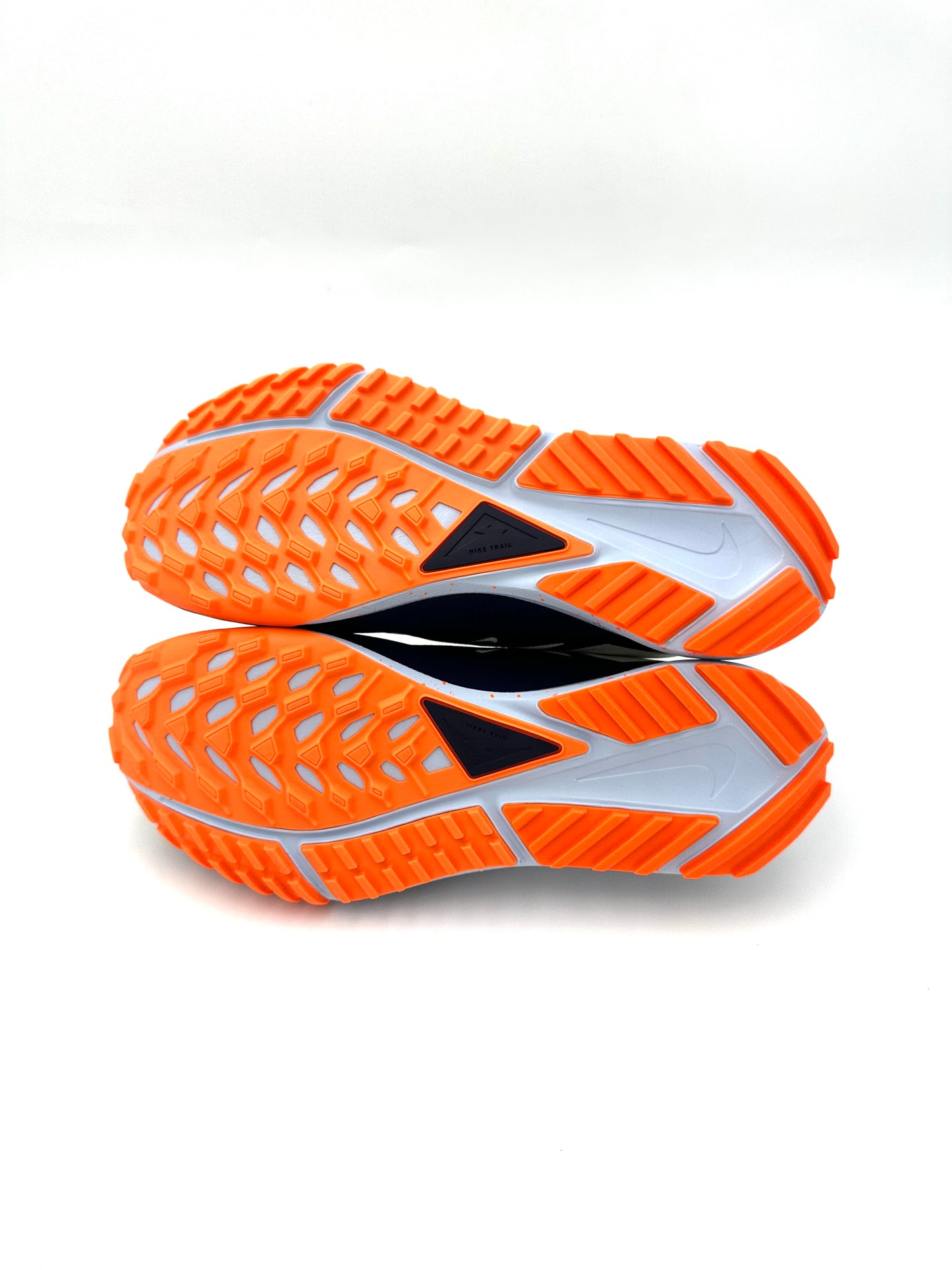 Nike Pegasus Trail 4 Gore-Tex