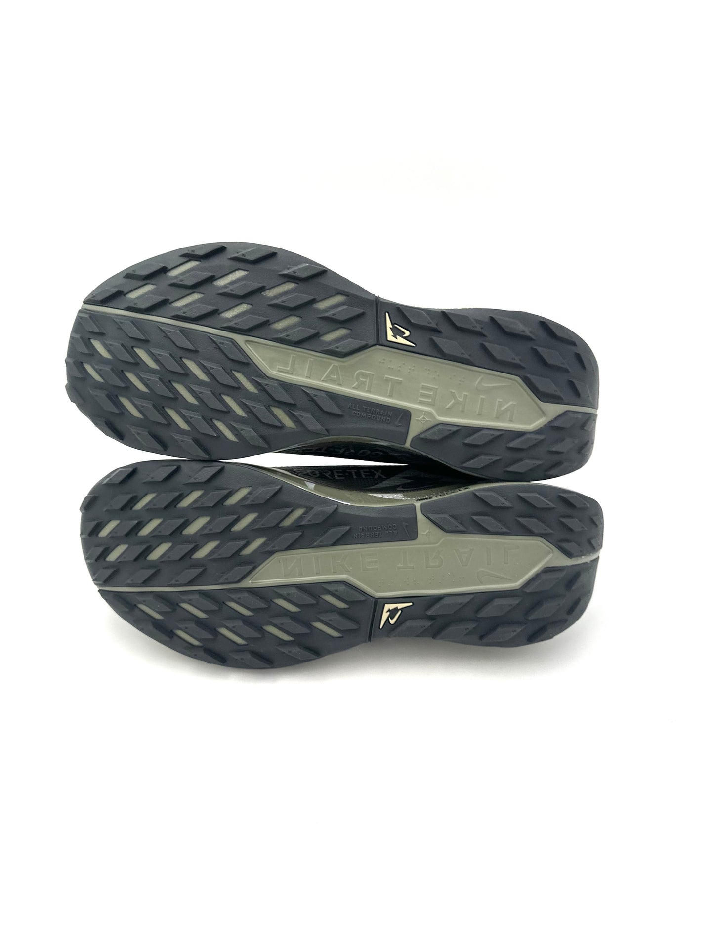 Nike Pegasus Trail 5 Gore-Tex