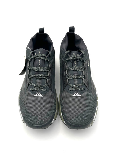 Nike Pegasus Trail 5 Gore-Tex