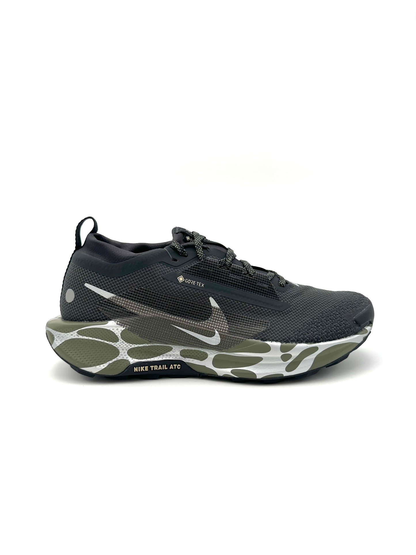 Nike Pegasus Trail 5 Gore-Tex